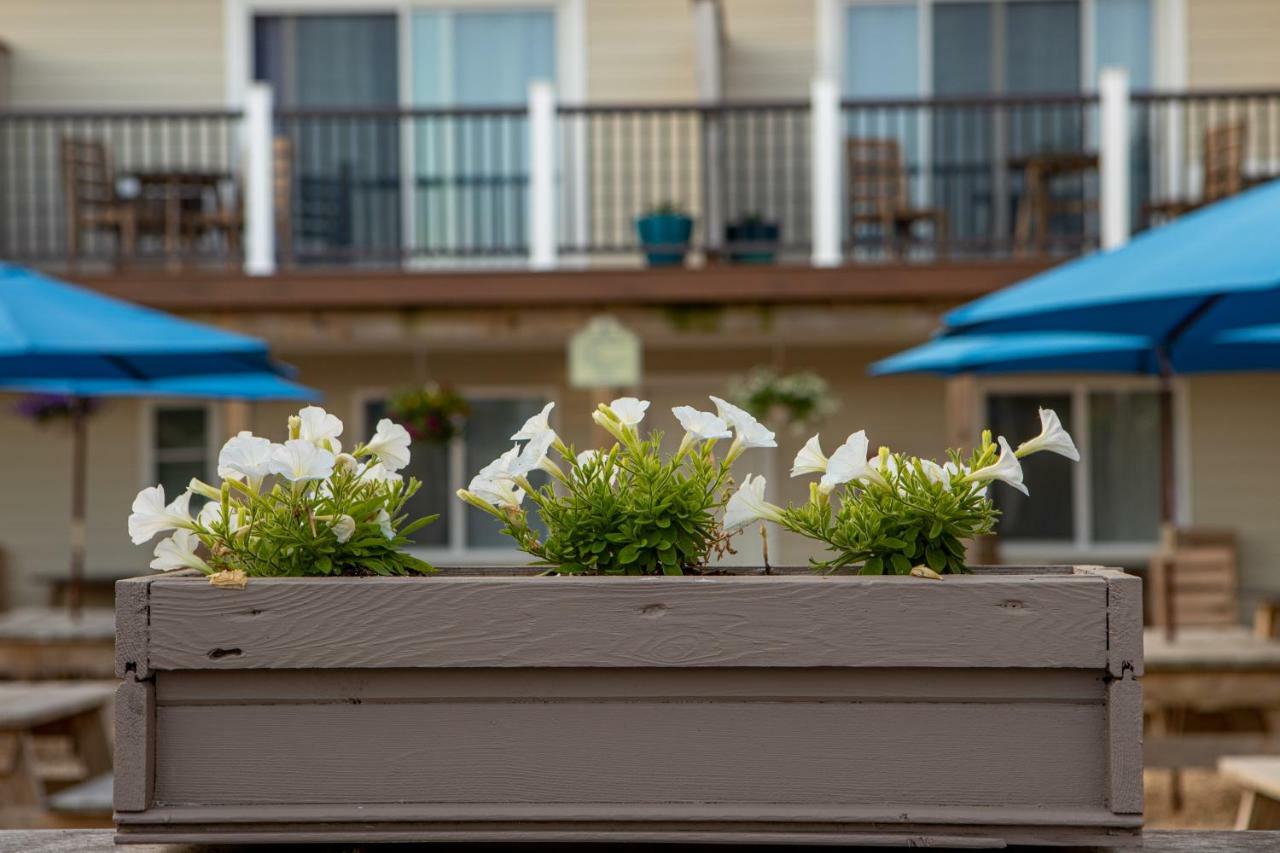 Aqualina Inn Montauk (Adults Only) Eksteriør billede